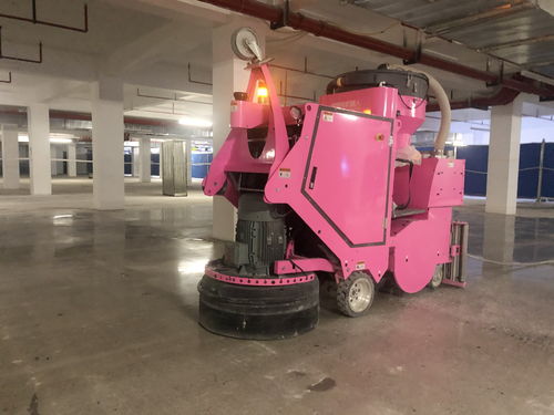 444rrr8X8XCOM域名查询www11sebacom